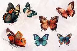 Butterflies